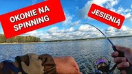 OKONIE NA SPINNING JESIENIĄ // Październik 2020