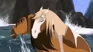 Mustang Spirit / When you cry