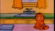Garfield i Przyjaciele - 28