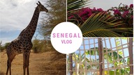 SENEGAL cz.3 | VLOG