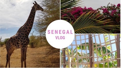 SENEGAL cz.3 | VLOG
