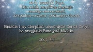 Uzdrowienie nogi