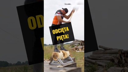 CIĘŻKIE SIEKIERY, DUŻA WYPADKOWOŚĆ!