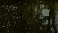 Symptoms (1974) Napisy PL