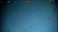 UNDERWATER ALIEN CAUGHT BY BP MEXICO GULF CAMERA