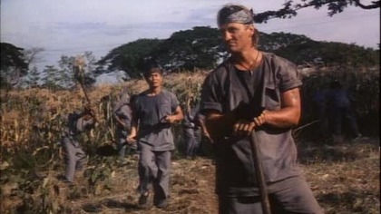 Prawo.  pięści.  (1993)