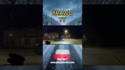Poślizg i krawężnik Brawo Ty  #poślizg #wpadka #kierowcy #shorts #polscykierowcy #roadrage