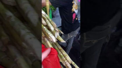 Sok z trzciny cukrowej