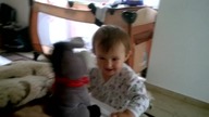 Dancing with the donkey