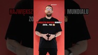 Największym bohaterem mistrzostw świata został...  PIES 