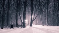Opowiem Ci coś 2: Przypadek Fiskersa