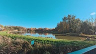 Kamieniec, Zbrosławice, Tarnowskie Góry, Katowice, Śląsk, Polska