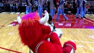 Benny the Bull 2014-15