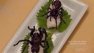 Fear Factor S05E28