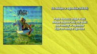 Zenek Kupatasa - Małpa w ogrodzie (z tekstem) z albumu Rezyliencja II - Jakie to jest piękne 03/11