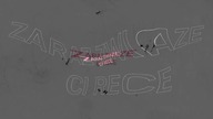 verffy ft.  jagła - żabi zbereźnik