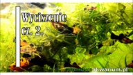 Wyciszenie cz. 2. / Relaxation aquarium music