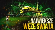 10 NAJWIEKSZYCH WEZY