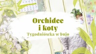 Zrobiło się zielono| Pierwszy tydzień kwietnia w bullet journal | Weekly plan with me