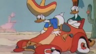 Kaczor Donald - Don Donald (1936)