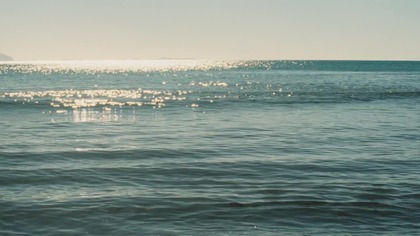 CHief o.. WaR 8 nap.