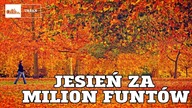 Jesień za MILION funtów #133