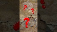  Wy to robicie? z kolegą? w jaskini?  #jaskinia #caving #ciekawostki #ciekawe #cave #funny 