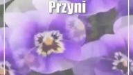 Przynieś elektrośmieci.  Dostaniesz piękne bratki