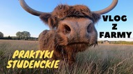 Relacja z praktyk - część 3/3