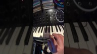 STUDIO SHORT #3