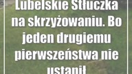 Lubelskie: Stłuczka na skrzyżowaniu.  Bo jeden drugiemu pierwszeństwa nie ustąpił