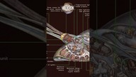 Gungańskie Bongosy DATACRON #starwars #jedi
