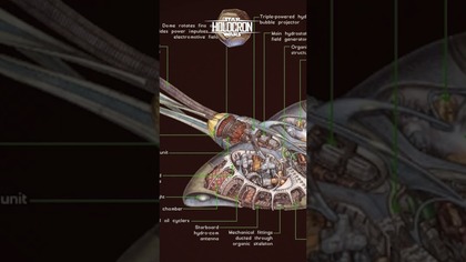 Gungańskie Bongosy DATACRON #starwars #jedi