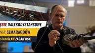 Z wizytą w hodowli u Stanisława Zagajewskiego - czysta linia gołębi Szmaragd - Cały film