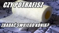 Codzienne sprawdzanie stanu zdrowia konia