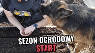 Zaczynamy sezon ogrodowy