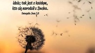 świadectwo - Spotkałam anioła