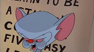 Pinky. i. Mozg. S01E06. Byc. albo. nie. byc. w. telewizji.plDUB. DVDRip. XviD