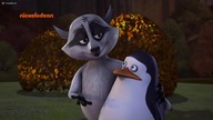 Pingwiny z Madagaskaru dubbing pl S02E39