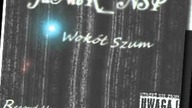 08.JuNioR_NSP - Kumpel  Wokół Szum 