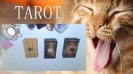 Wybierz kartę Czy warto czekać na niego/nią? Prawdziwa wróżka  Czytanie bezterminowe Tarot 