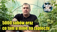 5000 subskrypcji oraz co tam u mnie na zapleczu