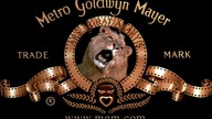Dlugie. pozegnanie. 1973.pl. BRRip. 720p. XviD. AC3-LTN
