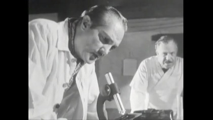 Wilczyca 1963 napl