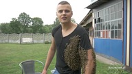 Rój pszczół obsiadł pszczelarza