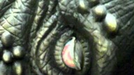 Dinopark Malbork 1