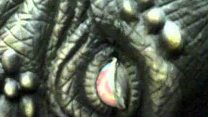 Dinopark Malbork 1