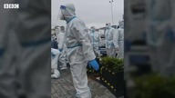Biały Covidek Atakuje ...  eng ...