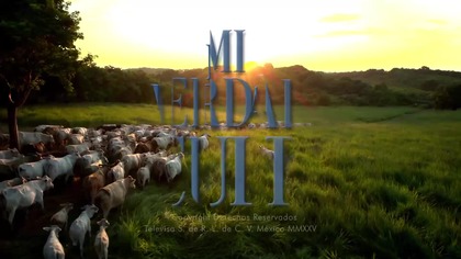 Mi verdad oculta 018 NAPISY PL