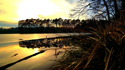 Natural Ambient Silence Soundscape  Lake at Sunset 